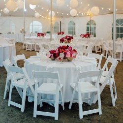 IMG 6352 1756433231 White Padded Resin Chair Rental
