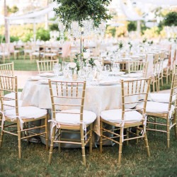 IMG 6461 1756433144 Gold Chiavari Chairs