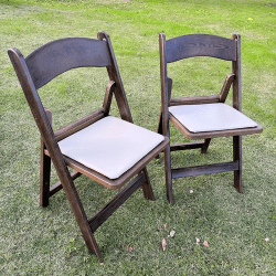 Resin Folding Chairs, Fruitwood